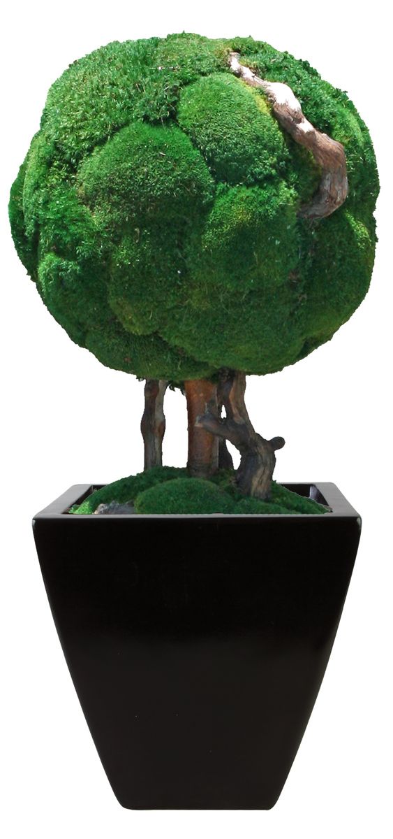 Topiary Moss Ball Single 30" - Click Image to Close